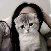 Aselya