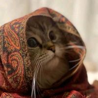 Asmaa