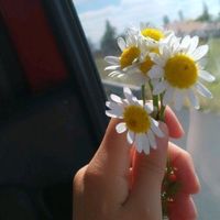 _Kamilova_