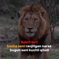 РАВШАН*************
