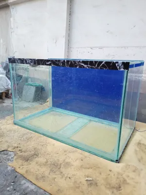 акварим катта баликлар учун