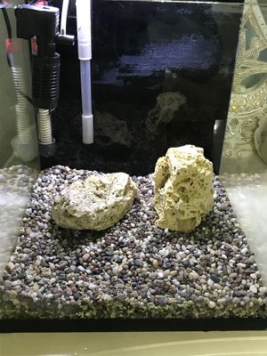 Nano akvarium 60 l