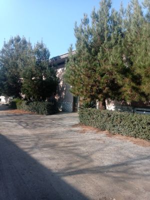 Hovli sotiladi 8 sotix