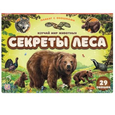 книга