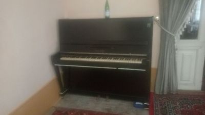 Piyanina Беларуссия