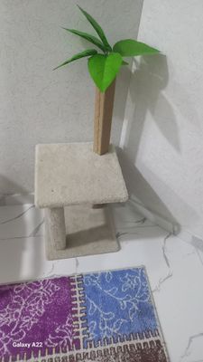 Muchuk uchun uycha