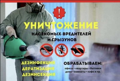 CHEGIRMA - Dezinfeksiya tarakan, klapa. Dorilash xizmati 24 soat