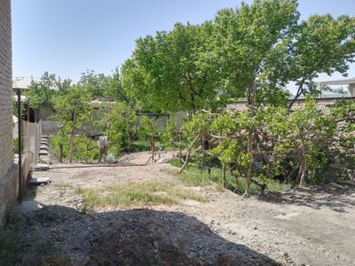 Tugallanmanga hovli TEZDA sotiladi