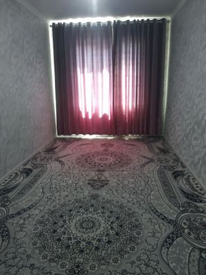 Uzoq muddatga ijara qizlarga it