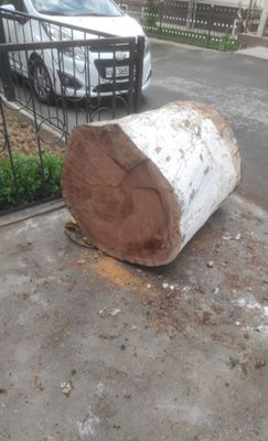 Кунда қассобларга