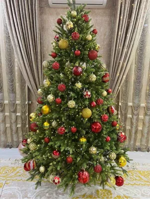 Новогодние елка в Ташкенте| купить | доставка |