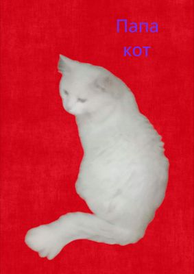 Продаются котята  породы Турецкий Ван