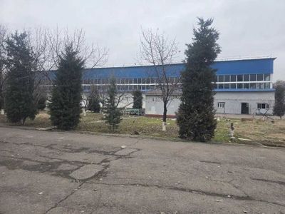 Сдается помещение под склад производство, в центре, Мирабадский район