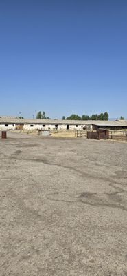 Кибрай 4.гек,биноси билан