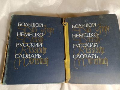 Большой немецко- русский словарь