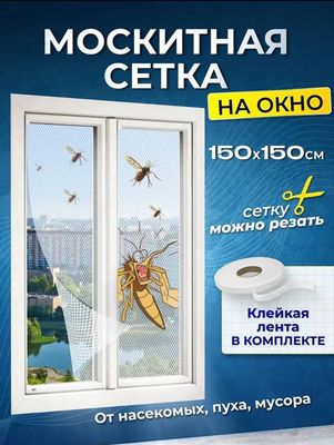 Oyna setka