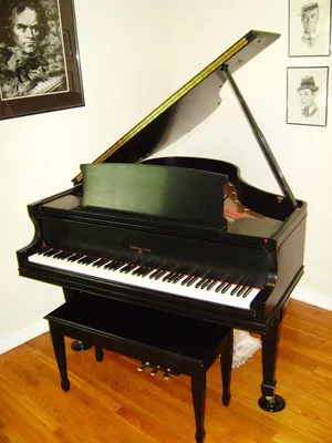 Обучаю игре на фортепиано.