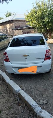 2023/2024 COBALT LTZ
