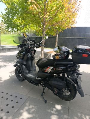 CAVALO TANK pro.1