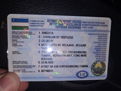 Чанган 2022 год