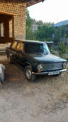 Juguli 011 tayyor xolatda