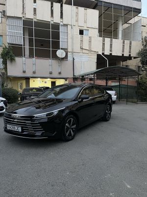 Byd Chazor Dmi 2 poziciya dop option