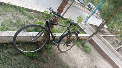 Veleseped sotiladi