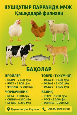 Омухта ем (гранула) махсулотлари. З
