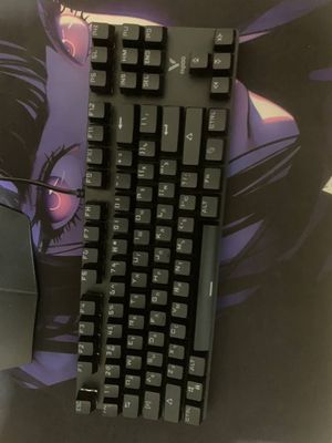 Rappo v 500 pro 87