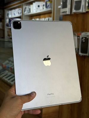 I pad m2 12.9 ideal