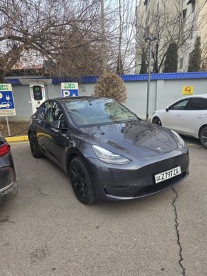 Tesla model y Performance