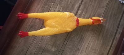 Õyinchoq