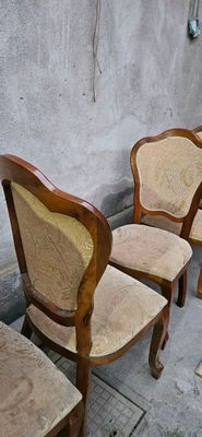 stulla 12 dona bor 100 mingdan