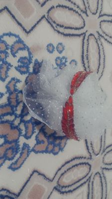 diademalar 35000