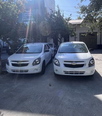 Cobalt oq Yangi Midnayt