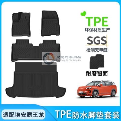 Aion v 2025 tpe polik