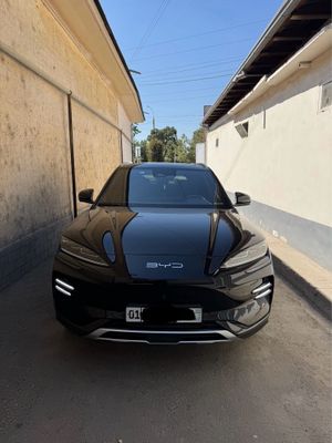 Byd champion краскаси тоза 605 кмли