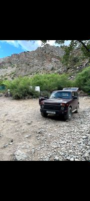 niva lada injektor