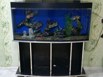 Akvarium sotiladi