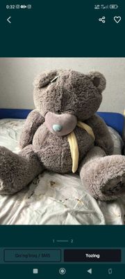 Teddy. Yangi buyi 1.80