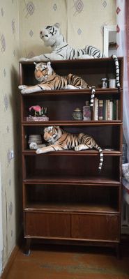 Продаётся книжный шкаф .