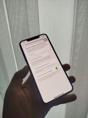 XS Max 64 100%