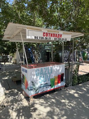 Аппарат газировка рабочий состояние