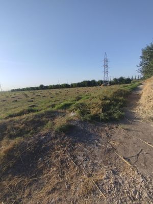 Макка престлар сотилади