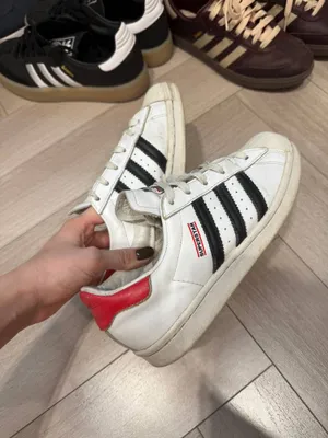 Кроссовки женские Samba adidas