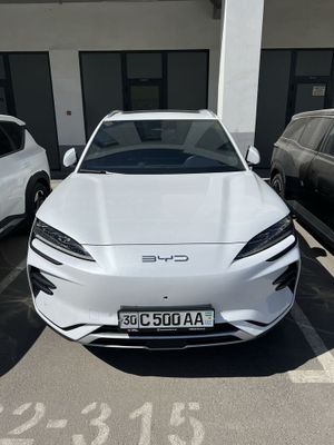 Byd Chempion tayyor 2024