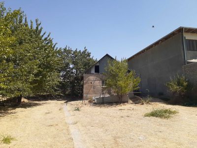 Dacha. Dala hovli