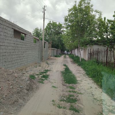 Дача сотилади 2.5 сутих