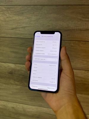 Iphone X
