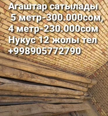 Кругляк агаш новый